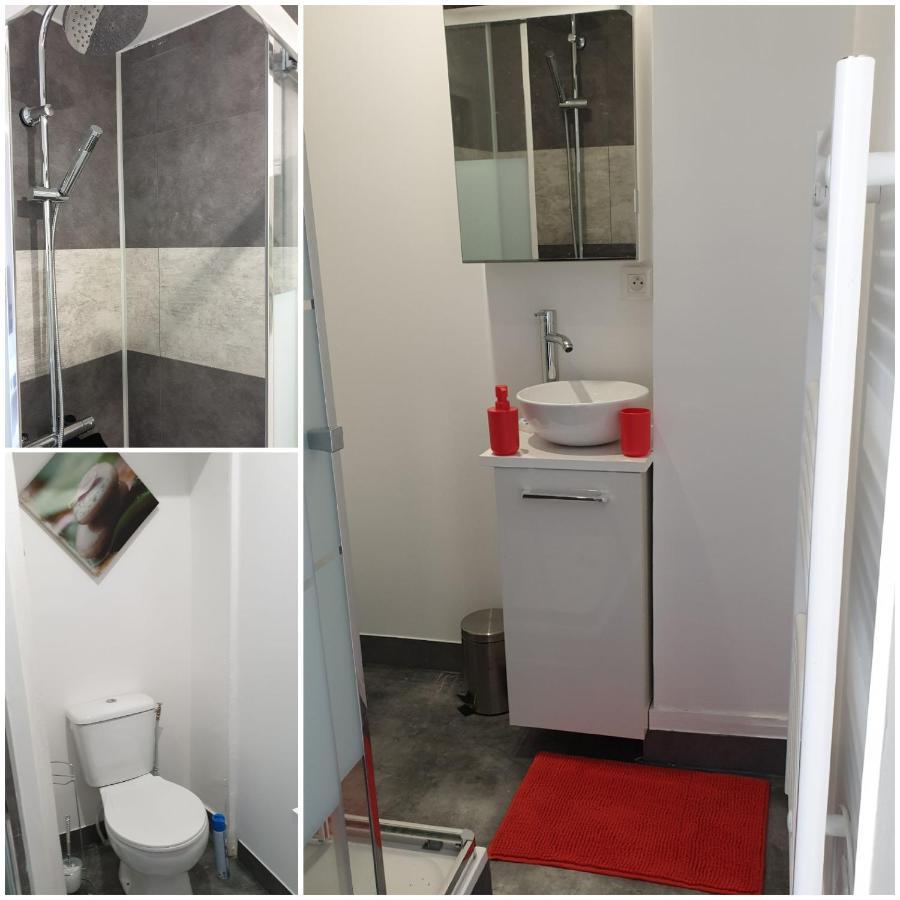 Chambres Poitiers Centre Ville - Salle De Bain, Refrigerateur, Tv Et Machine A Cafe Privatifs - Cuisine Commune - Terrasse - Hotel De Ville A 200M מראה חיצוני תמונה