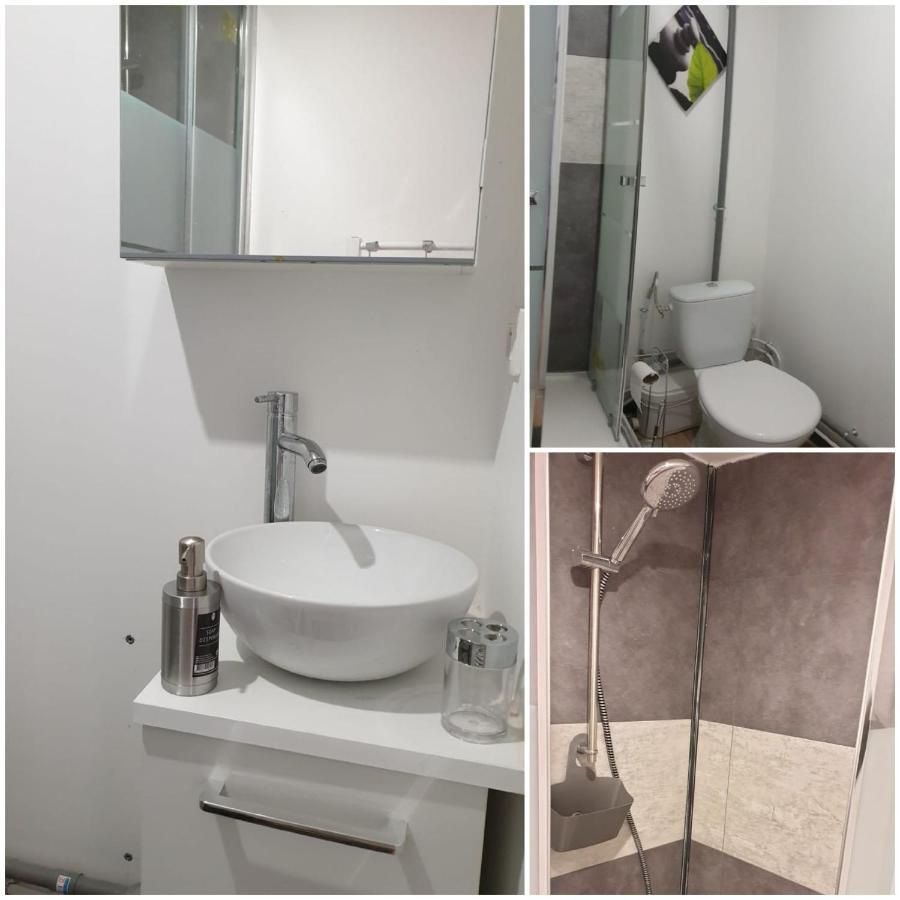Chambres Poitiers Centre Ville - Salle De Bain, Refrigerateur, Tv Et Machine A Cafe Privatifs - Cuisine Commune - Terrasse - Hotel De Ville A 200M מראה חיצוני תמונה